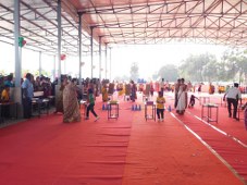 Plants: image 3 0f 4 thumb